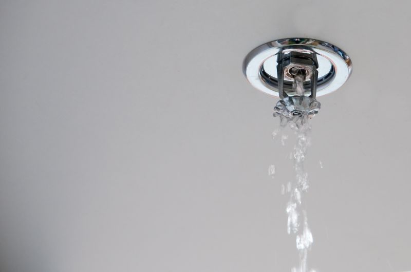 Fire Sprinkler Service