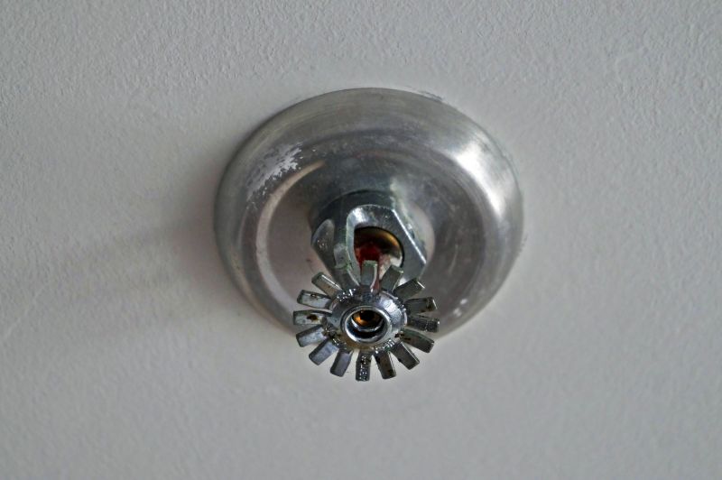 Fire Sprinkler Service